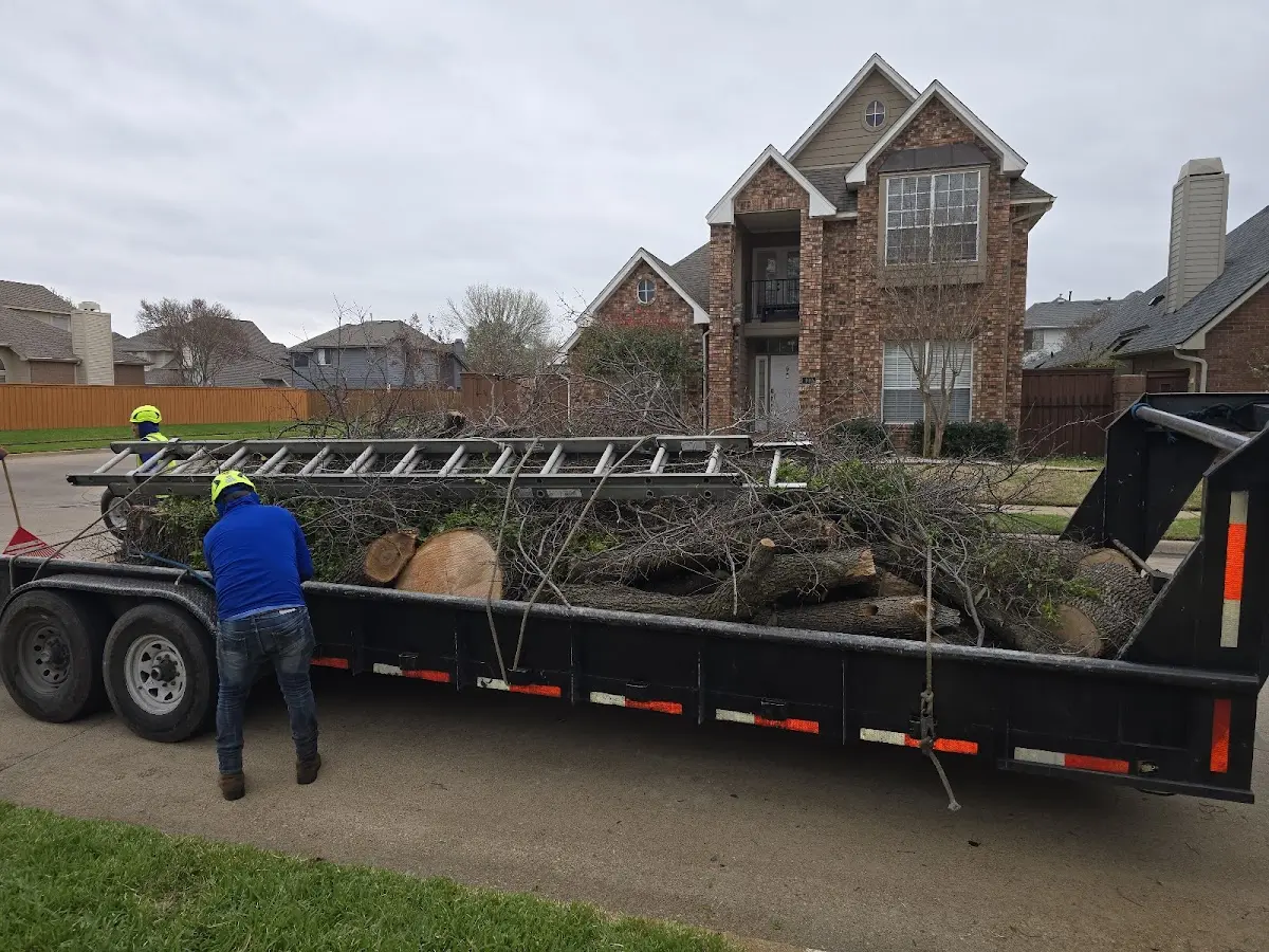 Expert Tree Fertilization with proper safety equipment in Otho